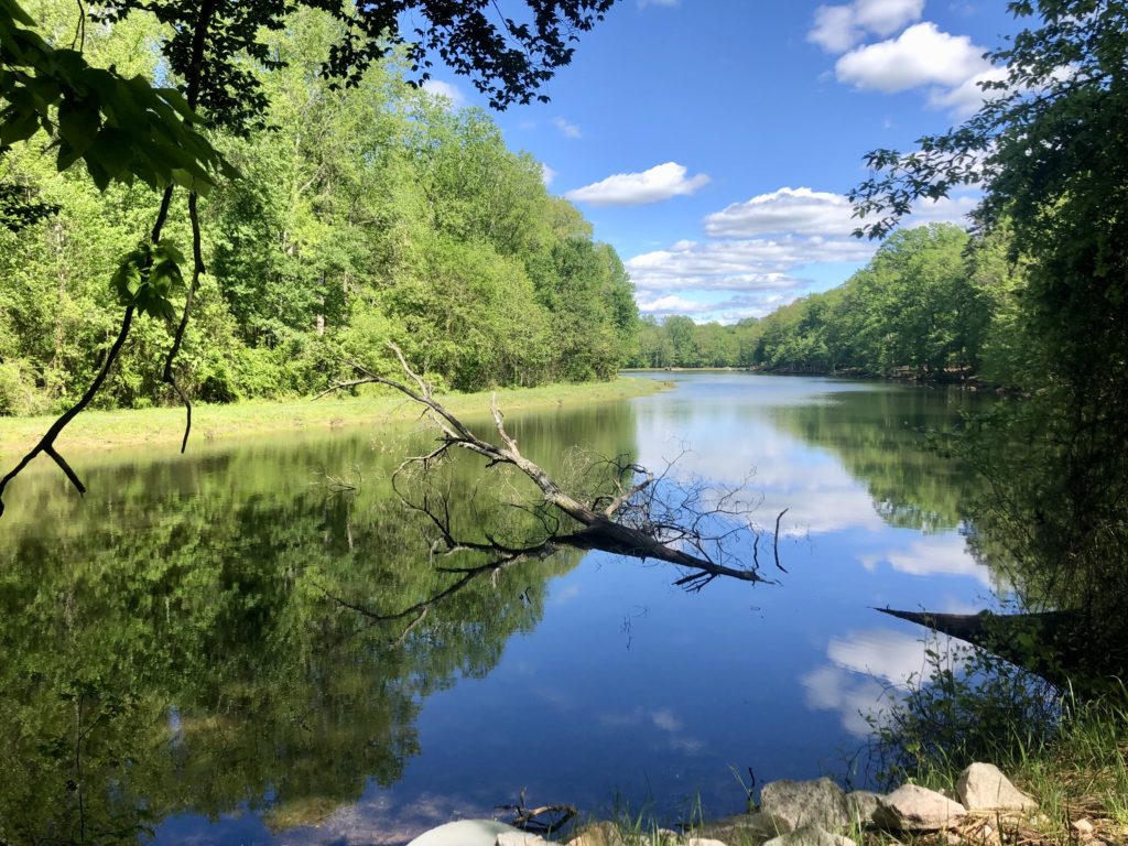 Two Beautiful Lakes to Visit in Landis, North Carolina Greenspace Blog