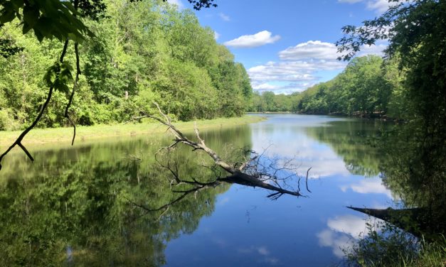 Two Beautiful Lakes to Visit in Landis, North Carolina