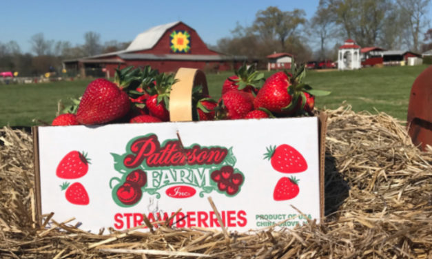 Family Owned Farm Growing Healthy Traditions For Over 100 Years