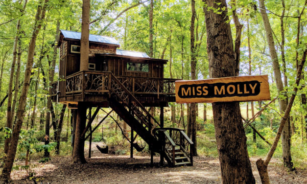 Stay in a Treehouse in Southern Rowan County