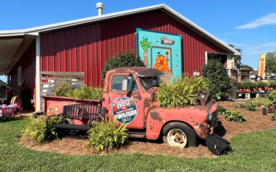 Family Fun at Patterson Farm Inc. Market and Tours