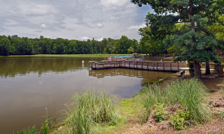 Rowan County’s Guide to Parks, Trails, and Nature