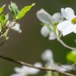 Find Your Balance: Wellness Centers in Rowan County