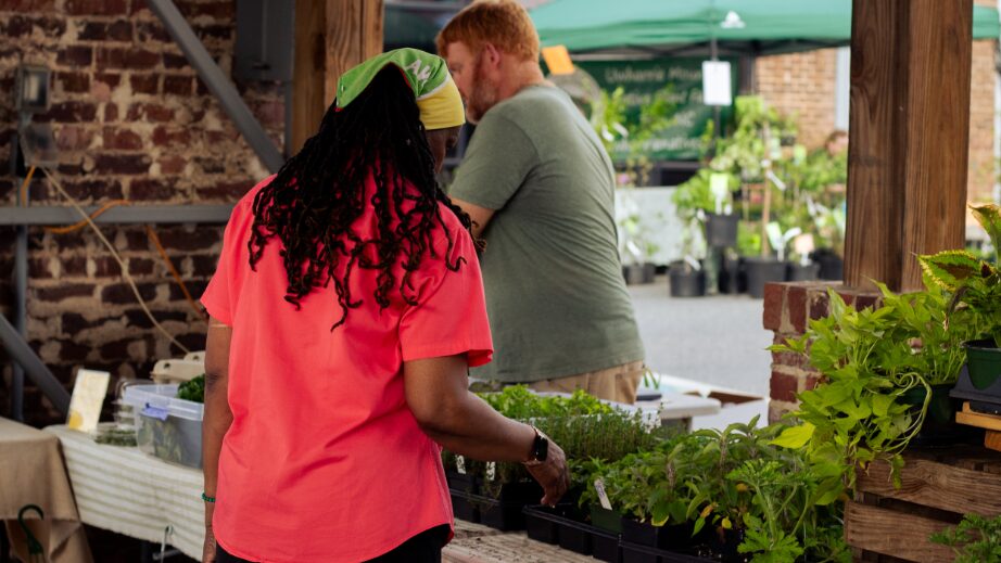 YR-Blog-BodyImage-1column-922x519-1 salisbury farmers market,farmers market salisbury nc,rowan county farmers market,farmers market rowan county nc,salisbury nc farmers market hours,what to expect at salisbury farmers market nc,salisbury farmers market hours and location,best farmers market in rowan county nc,saturday farmers market salisbury nc vendors,local produce market salisbury north carolina,local farmers market Salisbury nc
