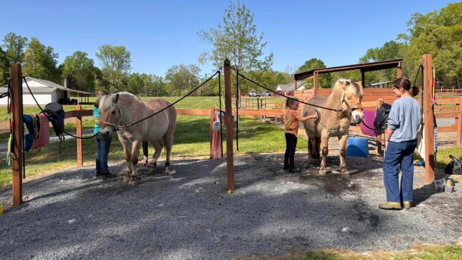 YR-Blog-BodyImage-1column-922x519-2 saving grace farm rowan county,equine therapy rowan county nc,equine assisted therapy nc,nonprofits rowan county nc,therapeutic riding rowan county,saving grace farm nc,saving grace farm programs and events nc,nonprofit horse therapy programs near salisbury nc,how equine therapy helps mental health nc,volunteer at saving grace farm rowan county