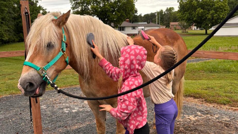 YR-Blog-BodyImage-1column-922x519-3 saving grace farm rowan county,equine therapy rowan county nc,equine assisted therapy nc,nonprofits rowan county nc,therapeutic riding rowan county,saving grace farm nc,saving grace farm programs and events nc,nonprofit horse therapy programs near salisbury nc,how equine therapy helps mental health nc,volunteer at saving grace farm rowan county