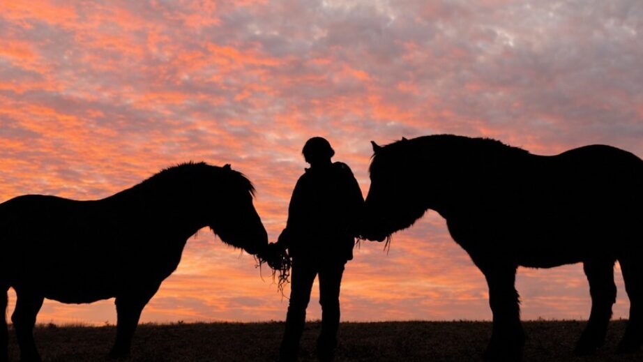 YR-Blog-BodyImage-1column-922x519-6 saving grace farm rowan county,equine therapy rowan county nc,equine assisted therapy nc,nonprofits rowan county nc,therapeutic riding rowan county,saving grace farm nc,saving grace farm programs and events nc,nonprofit horse therapy programs near salisbury nc,how equine therapy helps mental health nc,volunteer at saving grace farm rowan county