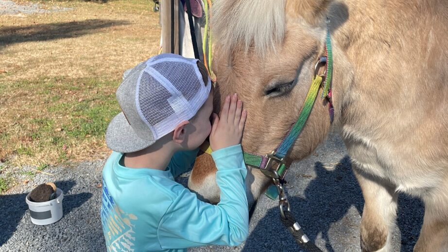 YR-Blog-BodyImage-1column-922x519-8 saving grace farm rowan county,equine therapy rowan county nc,equine assisted therapy nc,nonprofits rowan county nc,therapeutic riding rowan county,saving grace farm nc,saving grace farm programs and events nc,nonprofit horse therapy programs near salisbury nc,how equine therapy helps mental health nc,volunteer at saving grace farm rowan county