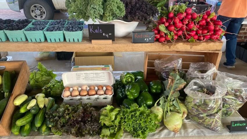 YR-Blog-BodyImage-2column-850x480-1 salisbury farmers market,farmers market salisbury nc,rowan county farmers market,farmers market rowan county nc,salisbury nc farmers market hours,what to expect at salisbury farmers market nc,salisbury farmers market hours and location,best farmers market in rowan county nc,saturday farmers market salisbury nc vendors,local produce market salisbury north carolina,local farmers market Salisbury nc