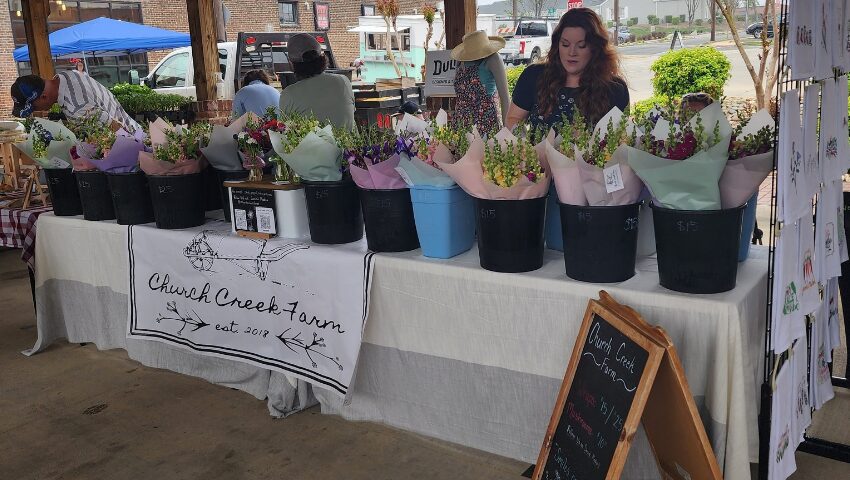 YR-Blog-BodyImage-2column-850x480-2 salisbury farmers market,farmers market salisbury nc,rowan county farmers market,farmers market rowan county nc,salisbury nc farmers market hours,what to expect at salisbury farmers market nc,salisbury farmers market hours and location,best farmers market in rowan county nc,saturday farmers market salisbury nc vendors,local produce market salisbury north carolina,local farmers market Salisbury nc