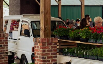 Salisbury Farmers Market: Your Guide to Fresh, Local Finds in Rowan County