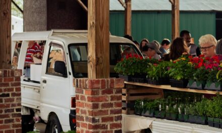 Salisbury Farmers Market: Your Guide to Fresh, Local Finds in Rowan County