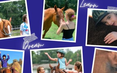 Saving Grace Farm: Healing, Connection, and Community in Rowan County, NC