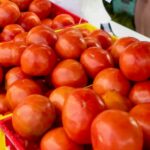 A Rowan County Tradition: The Woodleaf Tomato Festival Returns