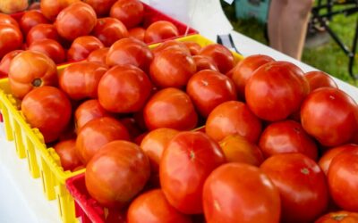 A Rowan County Tradition: The Woodleaf Tomato Festival Returns