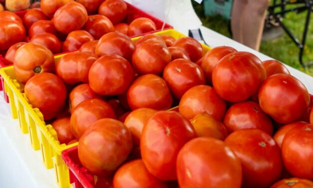 A Rowan County Tradition: The Woodleaf Tomato Festival Returns