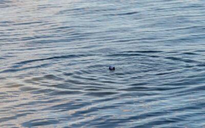 Exploring Rowan County’s Waterways: From High Rock Lake to the Yadkin River