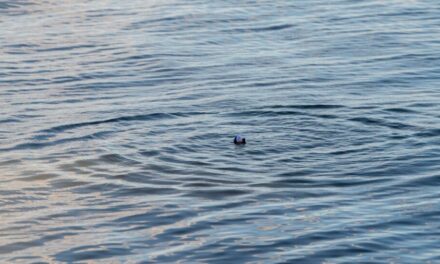 Exploring Rowan County’s Waterways: From High Rock Lake to the Yadkin River