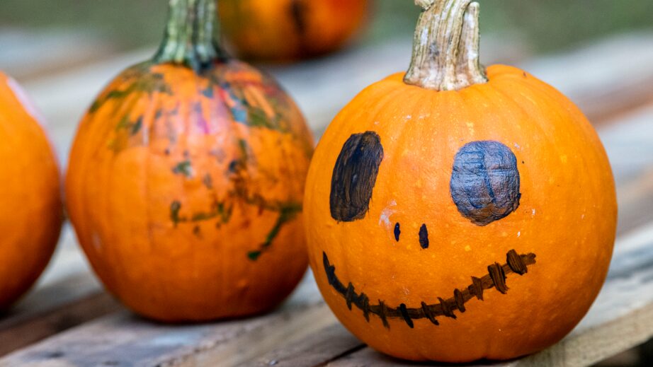 YR-Blog-BodyImage-1column-922x519-halloween