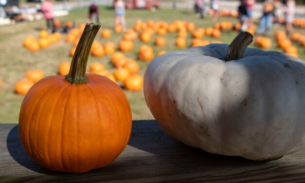Fall Weekends in Rowan County: Your October Highlights