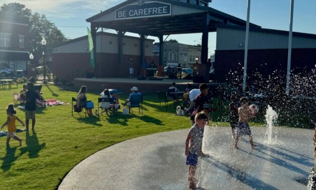 Learn, collaborate, and shape new children’s area in Spencer Town Park